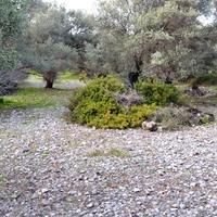 Земельный участок в Греции, Крит, Ираклион