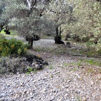 Земельный участок в Греции, Крит, Ираклион