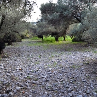 Земельный участок в Греции, Крит, Ираклион