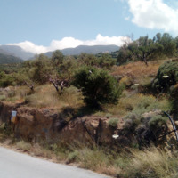 Land plot in Greece, Crete