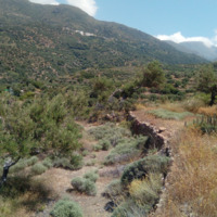 Land plot in Greece, Crete