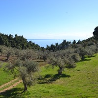 Other in Greece, Central Macedonia, Center, 230 sq.m.