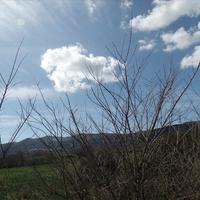 Land plot in Greece, Ionian Islands