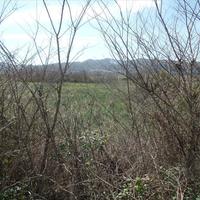 Land plot in Greece, Ionian Islands