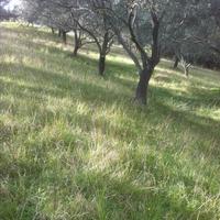 Land plot in Greece, Ionian Islands