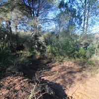 Land plot in Greece, Ionian Islands