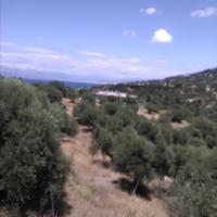 Земельный участок в Греции, Пелопоннес