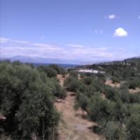 Земельный участок в Греции, Пелопоннес