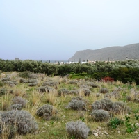 Земельный участок в Греции, Крит