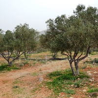 Земельный участок в Греции, Крит