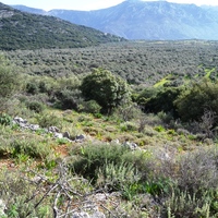 Land plot in Greece, Crete, Irakleion