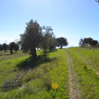 Земельный участок в Греции, Центральная Македония, Центр