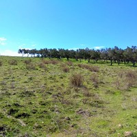 Земельный участок в Греции, Центральная Македония, Центр