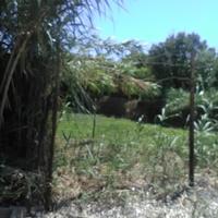 Land plot in Greece, Peloponnese