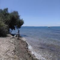 Land plot in Greece, Peloponnese