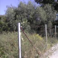Land plot in Greece, Peloponnese