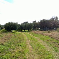 Land plot in Greece, Central Macedonia, Center