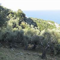 Земельный участок в Греции, Фессалия