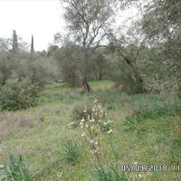 Land plot in Greece, Ionian Islands