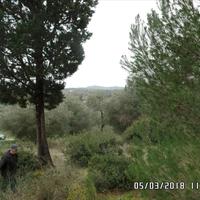 Земельный участок в Греции, Ионические острова