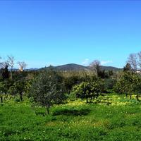 Land plot in Greece, Crete, Chania