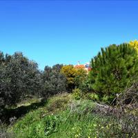 Land plot in Greece, Crete, Chania
