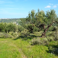 Земельный участок в Греции, Крит, Ираклион