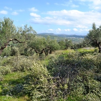 Земельный участок в Греции, Крит, Ираклион