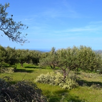 Земельный участок в Греции, Крит, Ираклион