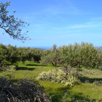 Земельный участок в Греции, Крит, Ираклион