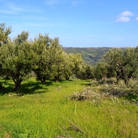 Земельный участок в Греции, Крит, Ираклион