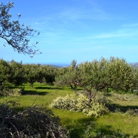 Земельный участок в Греции, Крит, Ираклион