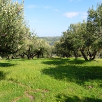 Земельный участок в Греции, Крит, Ираклион