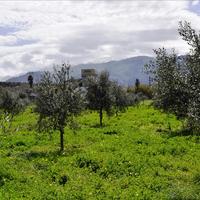 Земельный участок в Греции, Крит, Ханья