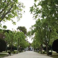 Земельный участок в Греции, Аттика, Афины