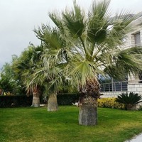 Другое в Греции, Крит, Ираклион, 300 кв.м.