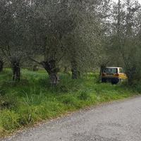 Land plot in Greece, Ionian Islands