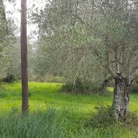 Land plot in Greece, Ionian Islands