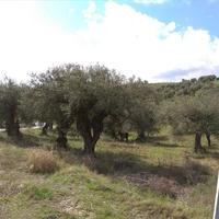 Земельный участок в Греции, Центральная Македония, Центр