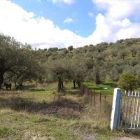 Земельный участок в Греции, Центральная Македония, Центр