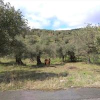 Земельный участок в Греции, Центральная Македония, Центр