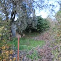 Земельный участок в Греции, Ионические острова