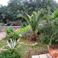 Бизнес-центр в Греции, Крит, 420 кв.м.