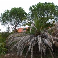 Other in Greece, Central Macedonia, Khal, 170 sq.m.