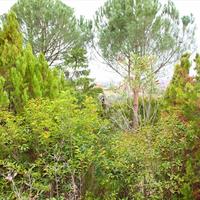 Other in Greece, Central Macedonia, Khal, 170 sq.m.