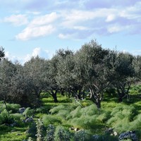 Земельный участок в Греции, Крит, Ханья