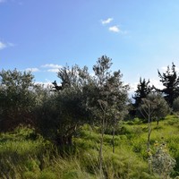 Земельный участок в Греции, Крит, Ханья