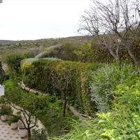 Другое в Греции, Аттика, Афины, 505 кв.м.