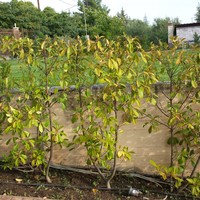 Townhouse in Greece, Central Macedonia, Center, 180 sq.m.