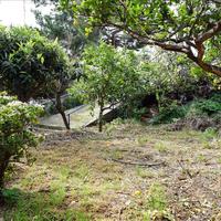 Other in Greece, Crete, Chania, 190 sq.m.